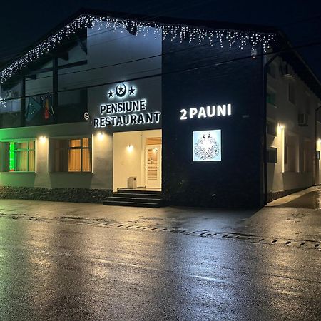 Pensiune Restaurant Pizzerie 2 Pauni Borsa  Ngoại thất bức ảnh