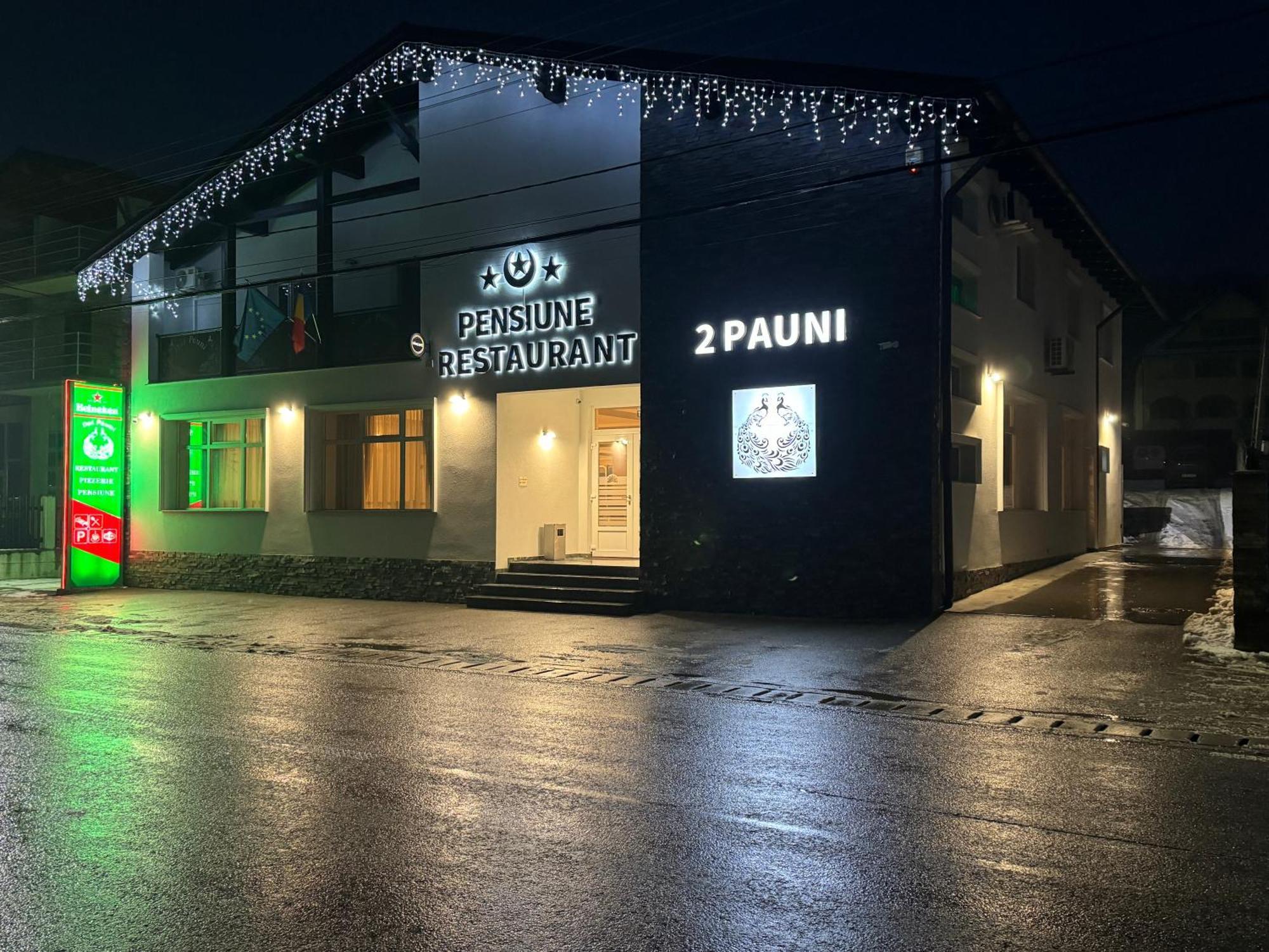 Pensiune Restaurant Pizzerie 2 Pauni Borsa  Ngoại thất bức ảnh