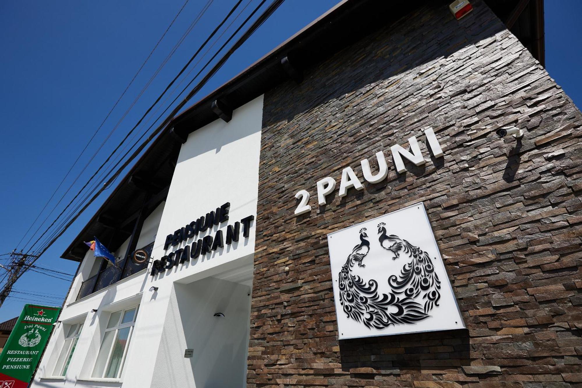 Pensiune Restaurant Pizzerie 2 Pauni Borsa  Ngoại thất bức ảnh